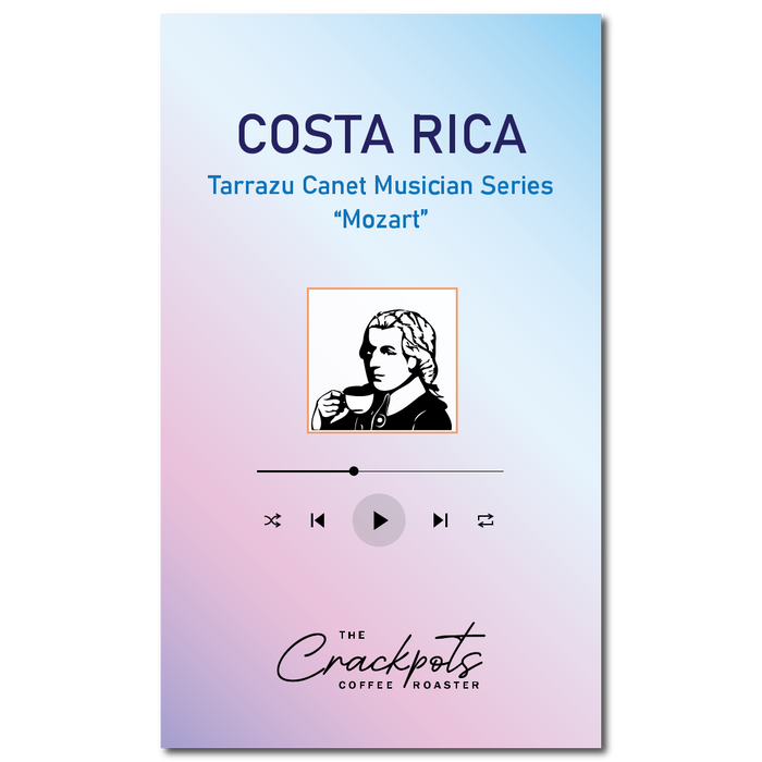 Costa Rica Tarrazu Canet Musician Series "Mozart"