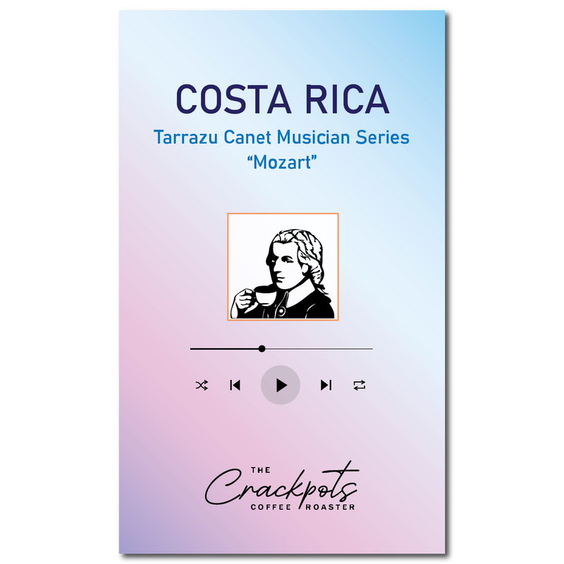 Costa Rica Tarrazu Canet Musician Series "Mozart"