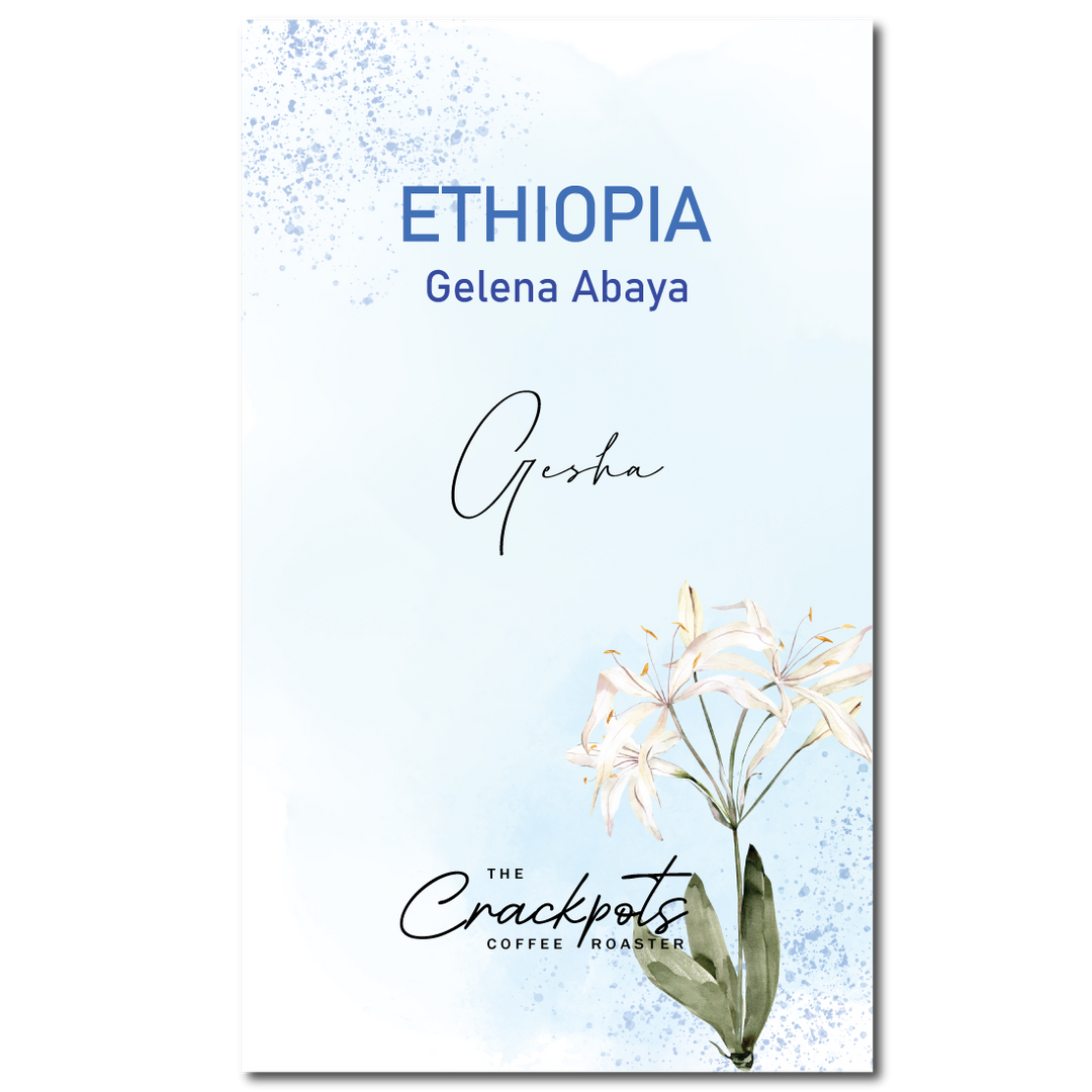 Ethiopia Gelena Abaya Gori Geisha Natural