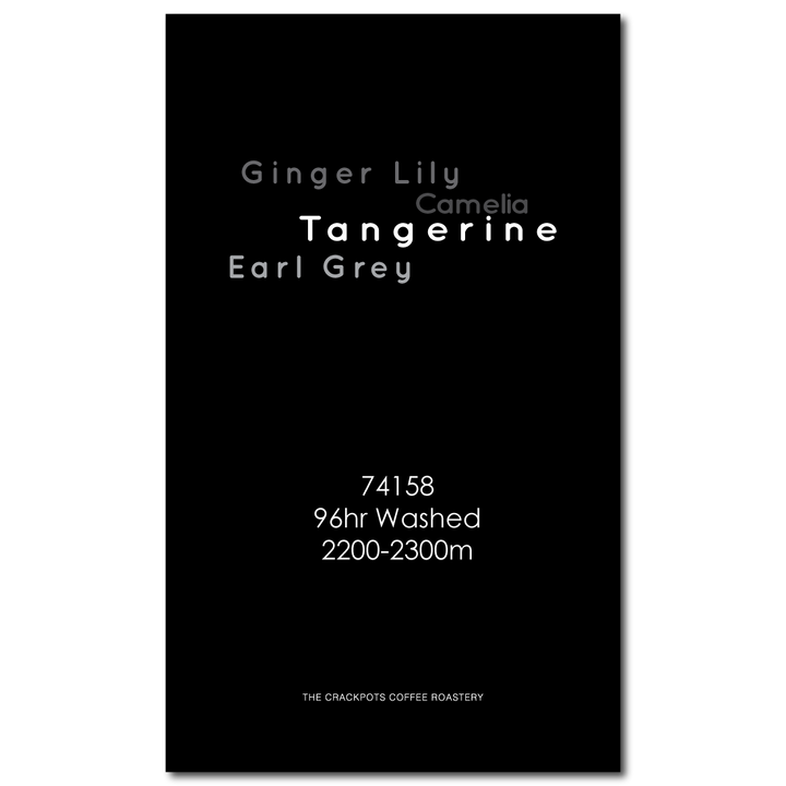 Ethiopia Sidamo Bensa Chire Cherry Village 96hr Washed