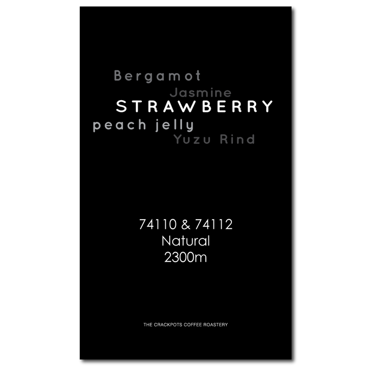 Ethiopia Berg Wu Selection Guji Natural Lot. S25/02