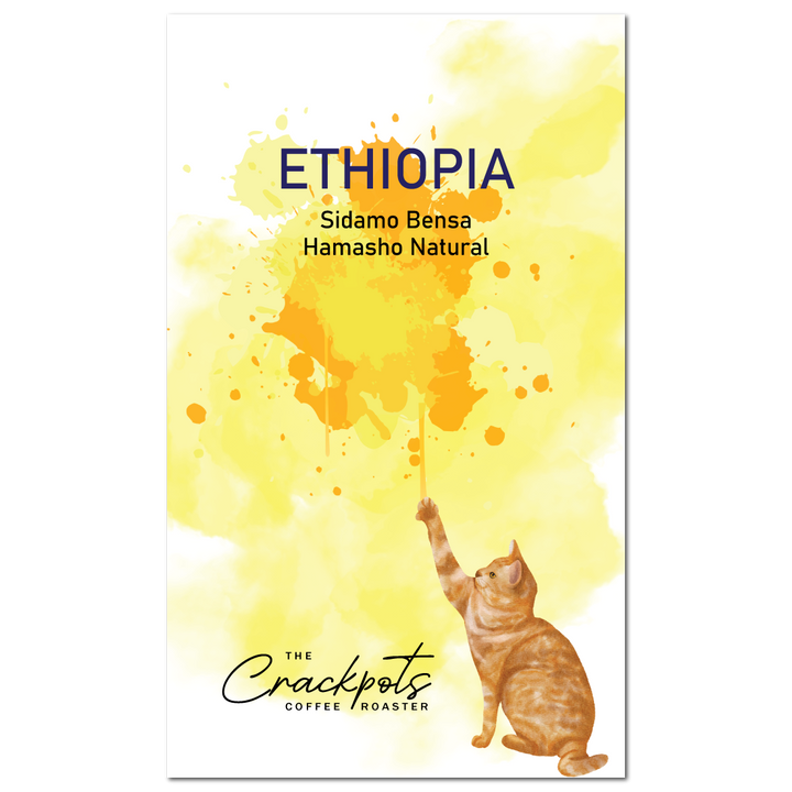 Ethiopia Sidamo Bensa Hamasho Natural