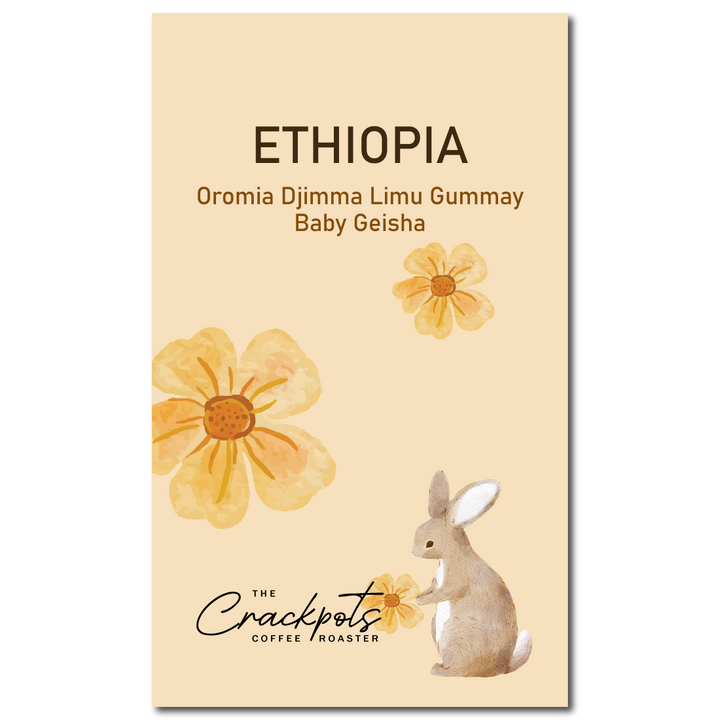 Ethiopia Oromia Djimma Limu Gummay Baby Geisha