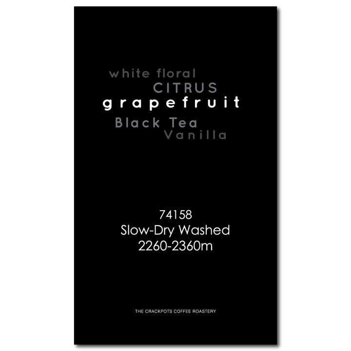 Ethiopia Sidama Bensa Hamasho Tadessa S.D. Washed