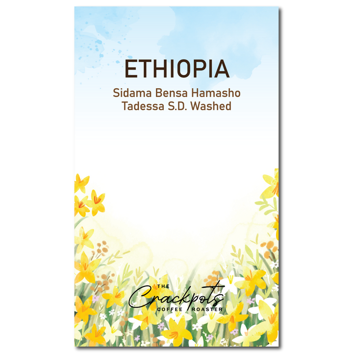 Ethiopia Sidama Bensa Hamasho Tadessa S.D. Washed