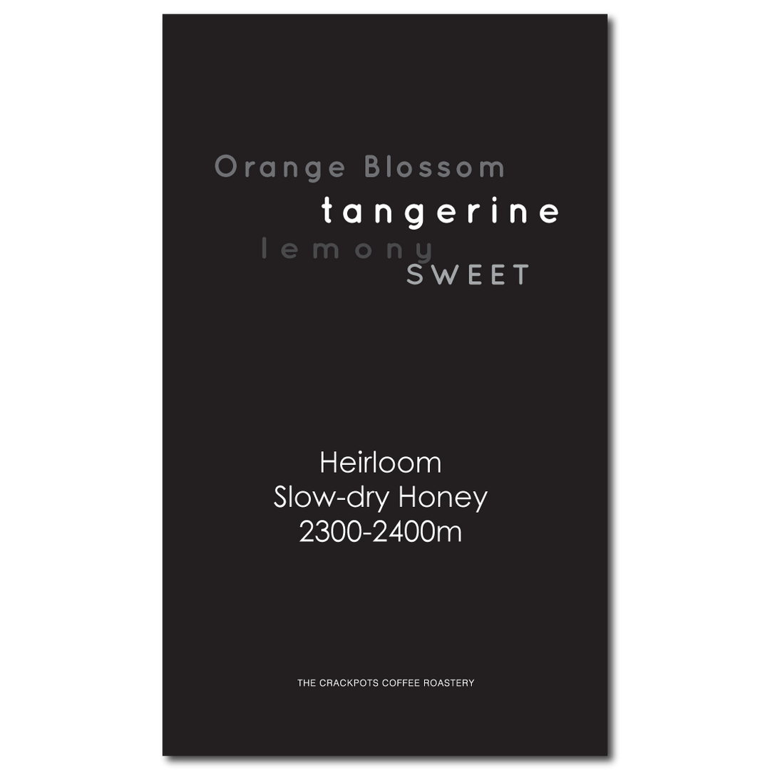 Ethiopia Sidama Bensa Hamasho Tadisa S.D. Honey