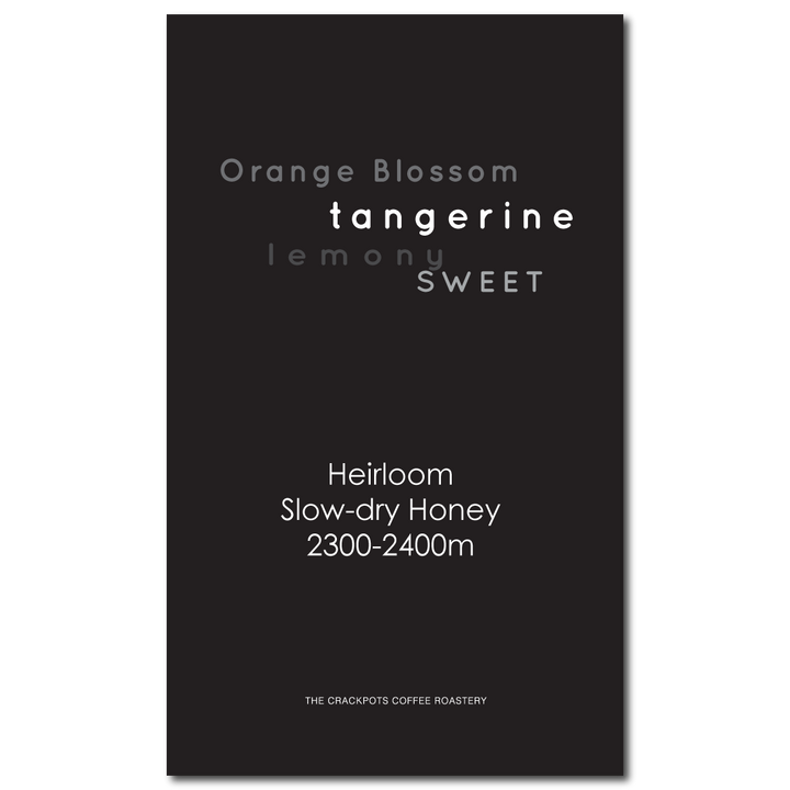 Ethiopia Sidama Bensa Hamasho Tadisa S.D. Honey