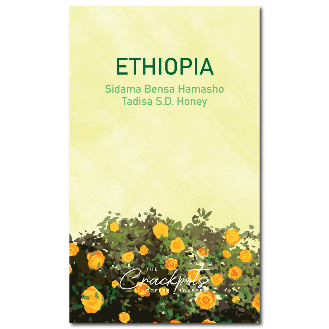 Ethiopia Sidama Bensa Hamasho Tadisa S.D. Honey