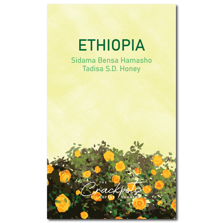 Ethiopia Sidama Bensa Hamasho Tadisa S.D. Honey
