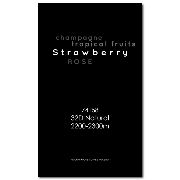 Ethiopia Sidama Bensa "Wu Kong" 32D Natural G1 Top