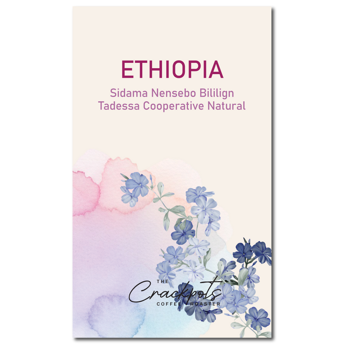 Ethiopia Sidama Nensebo Bililign Tadessa Cooperative Natural