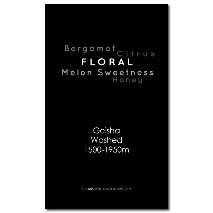 Guatemala Antigua Bella Carmona Geisha Washed