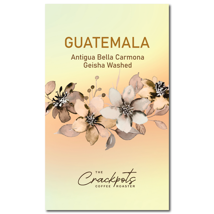 Guatemala Antigua Bella Carmona Geisha Washed
