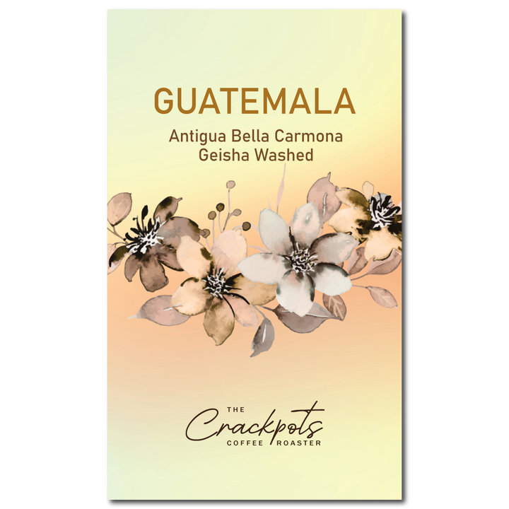 Guatemala Antigua Bella Carmona Geisha Washed