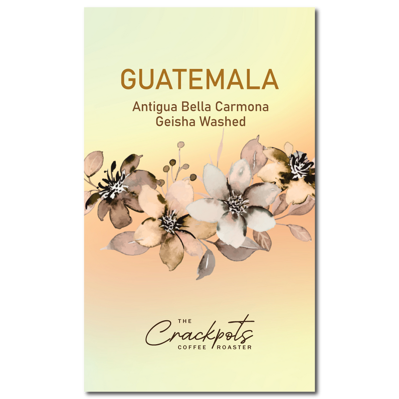 Guatemala Antigua Bella Carmona Geisha Washed