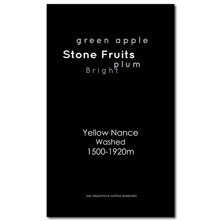 Guatemala Huehuetenango El Injerto Yellow Nance Washed