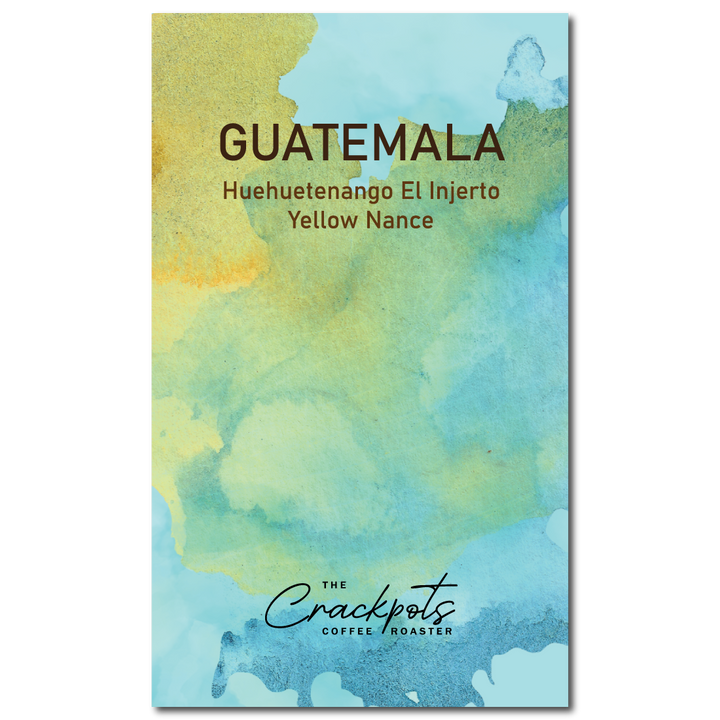Guatemala Huehuetenango El Injerto Yellow Nance Washed
