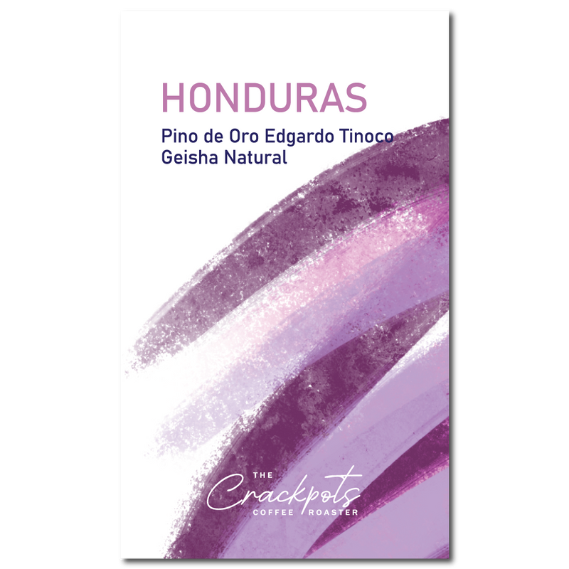 Honduras Pino de Oro Edgardo Tinoco Geisha Natural
