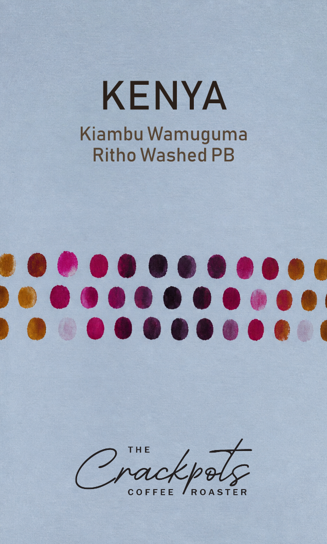 Kenya Kiambu Wamuguma Ritho Washed PB