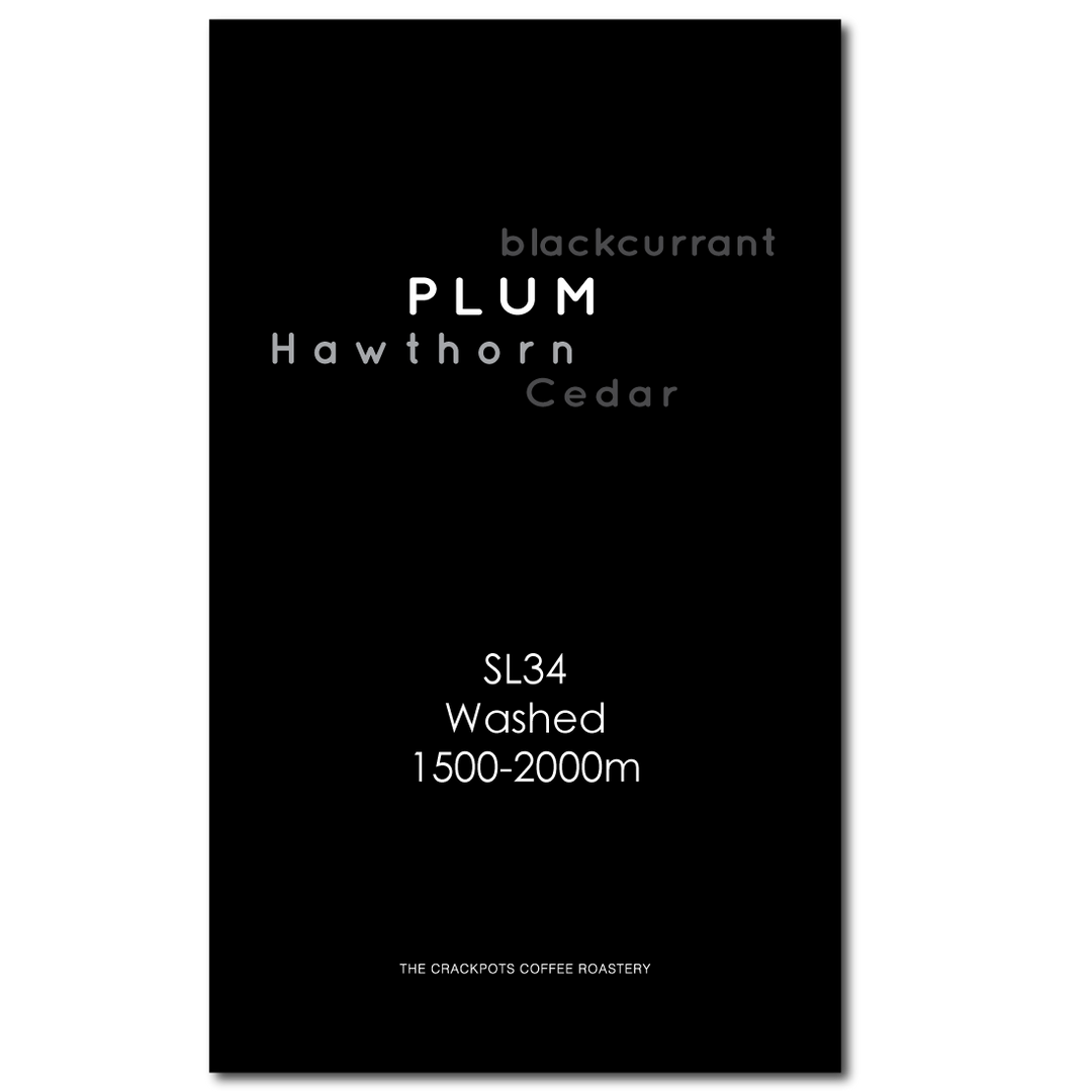 Kenya Rift Valley Nakuru Single Variety SL34 AA TOP