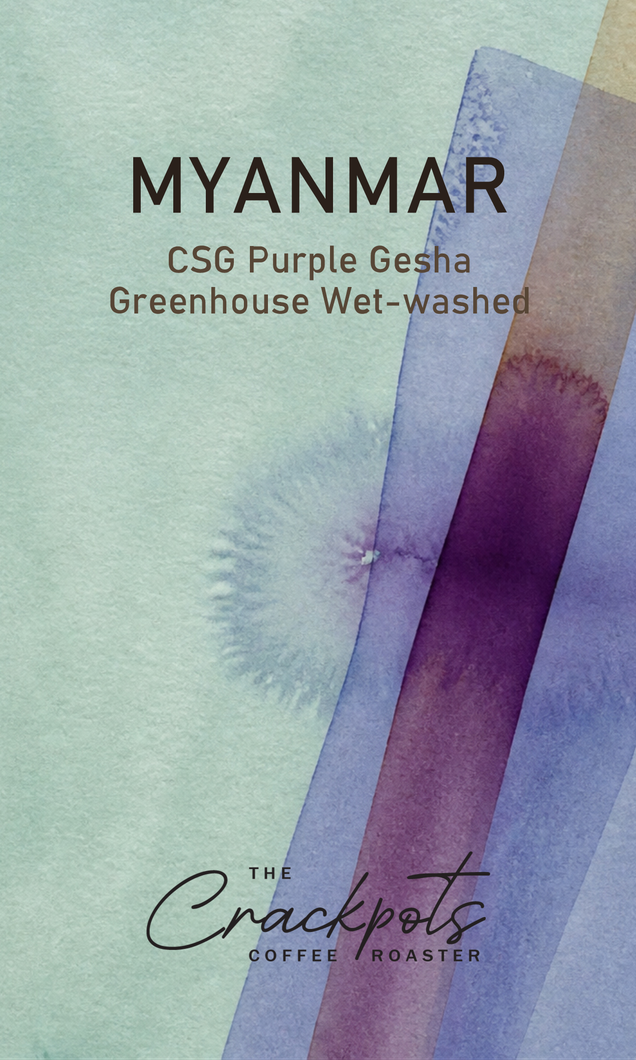 Myanmar CSG Purple Gesha Greenhouse Wet-washed