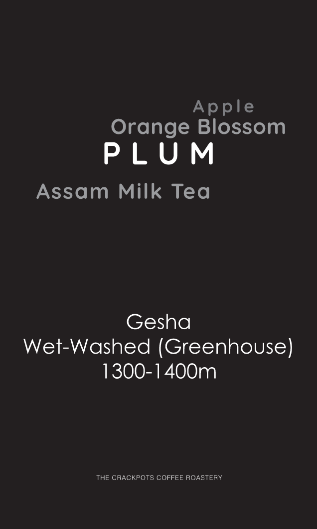 Myanmar CSG Purple Gesha Greenhouse Wet-washed