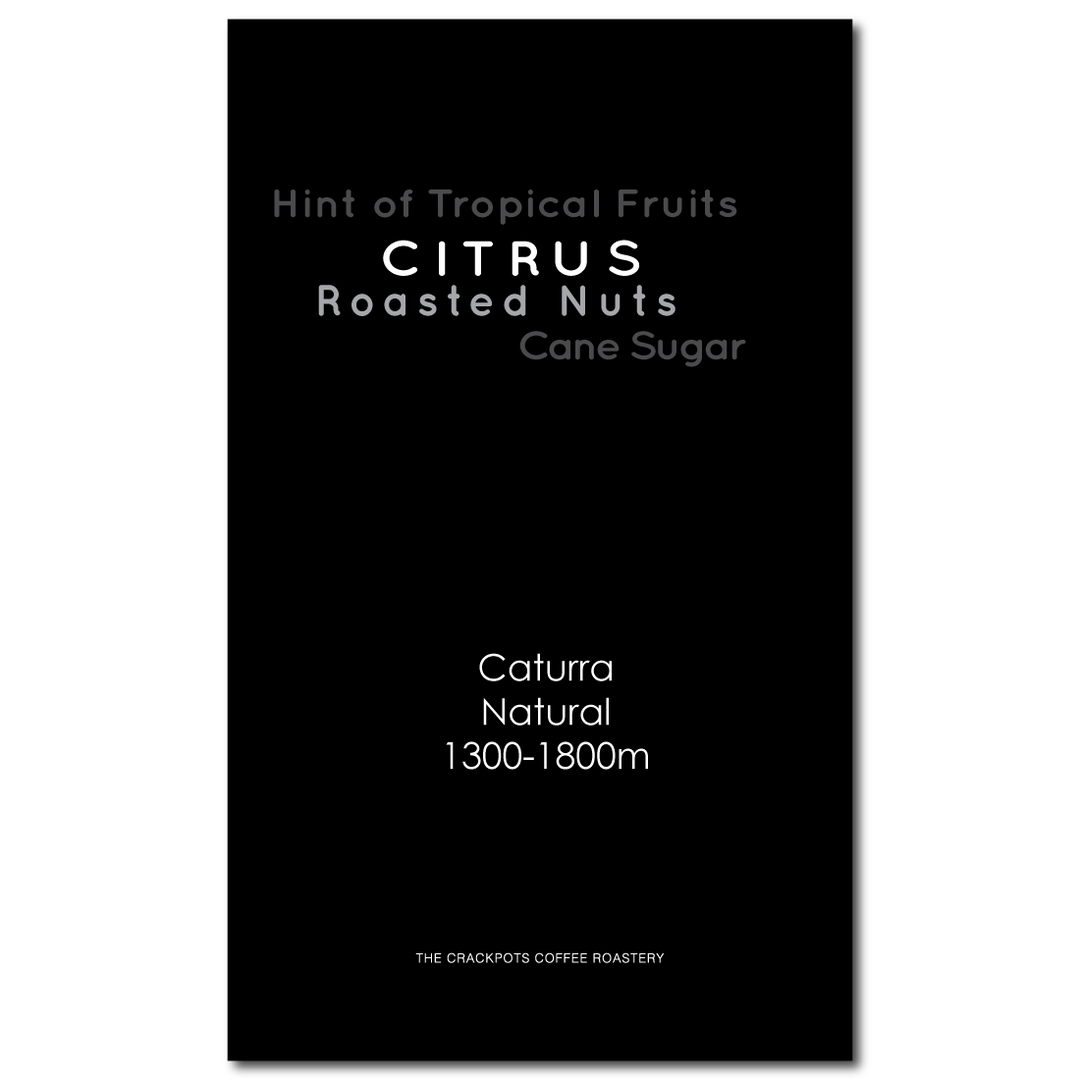 Panama Boquete Kotowa Carolina Natural #3147-#3185