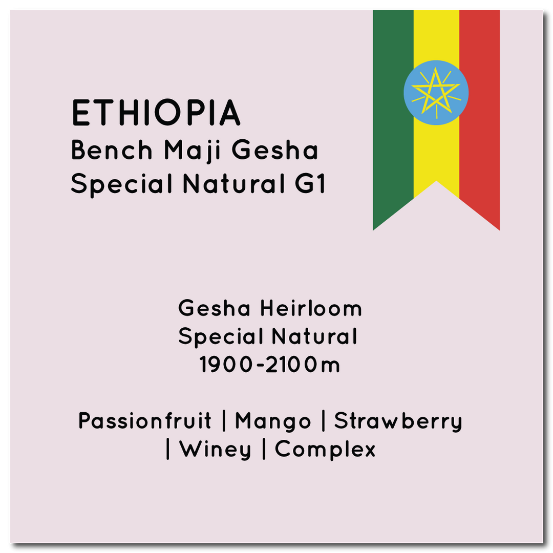 Unroasted Ethiopia Bench Maji Geisha Special Natural 23/04