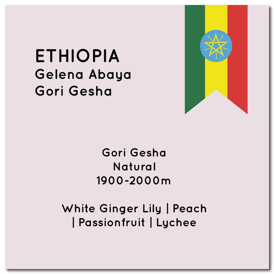 Unroasted Ethiopia Gelena Abaya Gori Gesha
