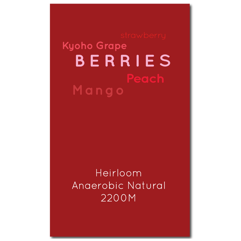 Ethiopia Guji Anasora Anaerobic Natural
